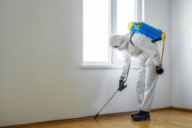 Best Wasp Removal Services  in Banks, OR