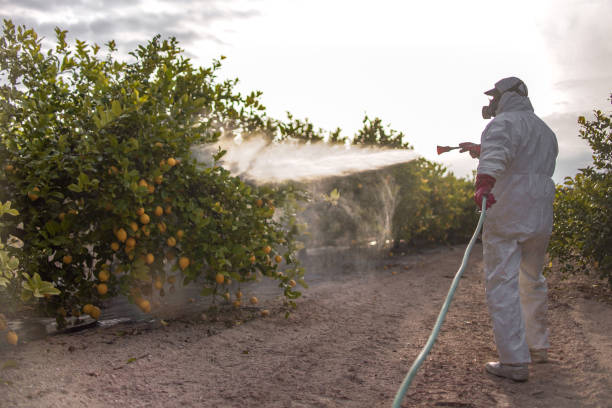 Best Wildlife Control Services  in Banks, OR